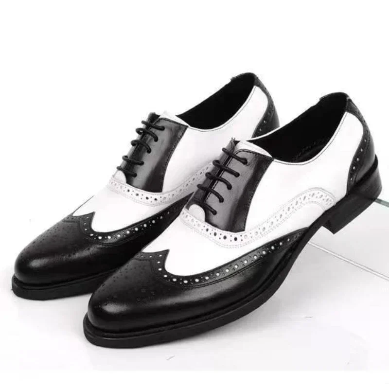 Oxford Shoes Brogue - Colori misti Scarpe eleganti da uomo