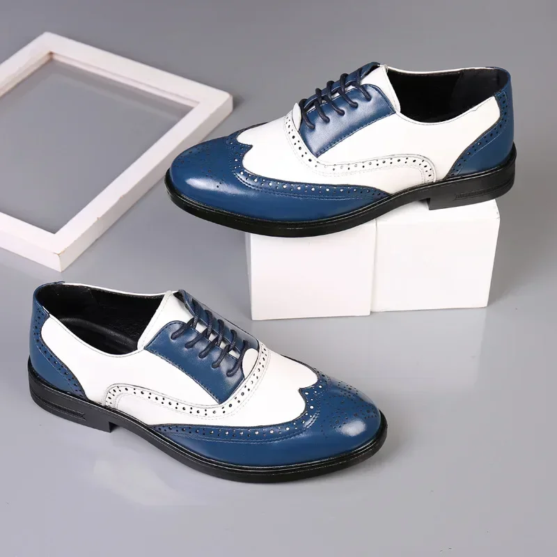 Colori misti Scarpe eleganti d - Oxford Shoes Brogue recensione e prezzo