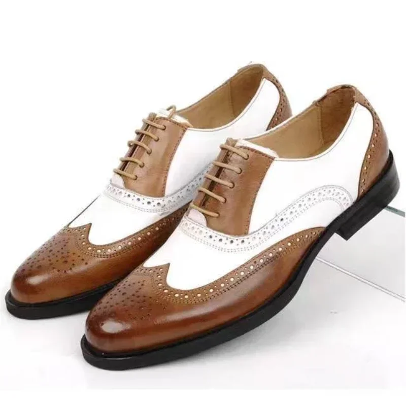 Colori misti Scarpe eleganti d - Oxford Shoes Brogue recensione e prezzo