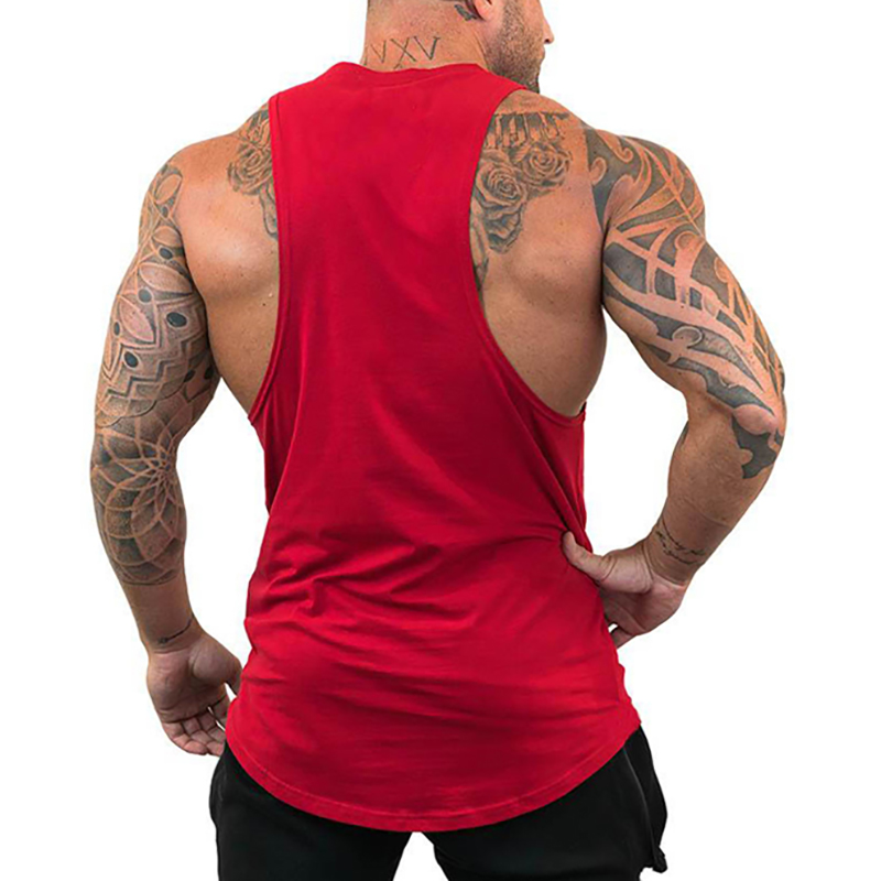 Installazione dei muscoli, per - Muscle Tee Workout recensione e prezzo